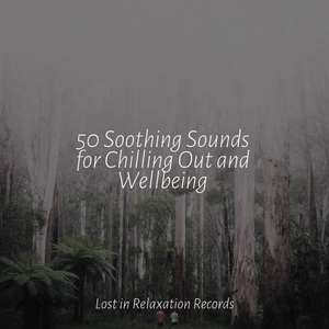 Heartwarming Blessings