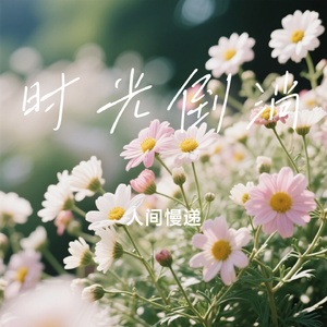 时光倒淌