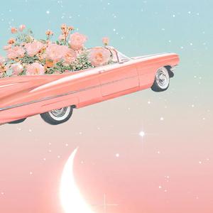 មាន់ស្រែ Flute