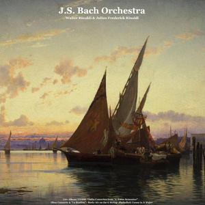 Adagio for Oboe in D Minor, BWV 1059: Adagio (Live)