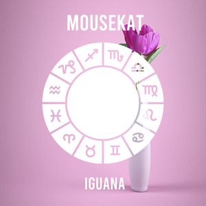 Iguana (Dance Mix)
