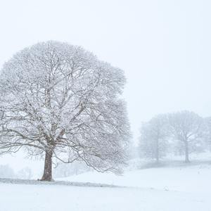 你的心里怎么想