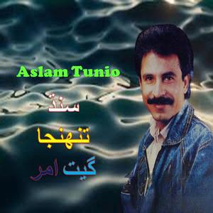 Sindh Munhinji Jeejal Aman Zindagi Totan