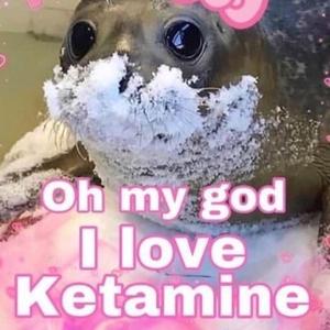 K-HOLE
