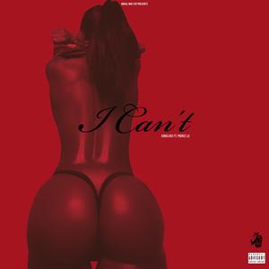I Can't (feat. Prince Lg)