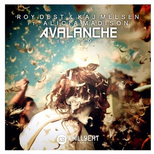 Avalanche (Baha Remix)