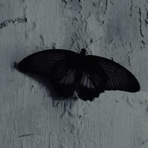 Pagi Pagi Udan by Gusna