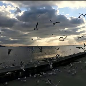 yalguz kaldim（独爱一生）