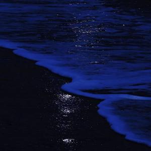 石渡太輔-Beautiful