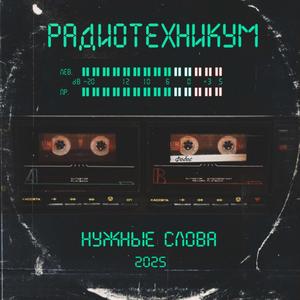Плечи