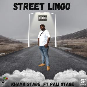 Street Lingo (feat. Pali stage )