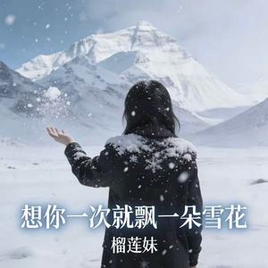 想你一次就飘一朵雪花