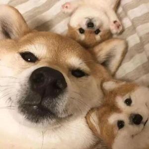 你的目光
