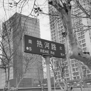 这个世界会好吗（翻自 李志）