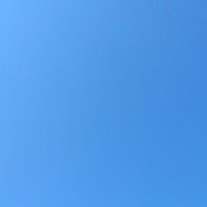 逆流而上