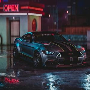 Wild Horse（野马）