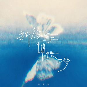 新鸳鸯蝴蝶梦