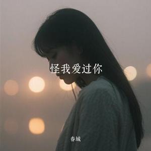 怪我爱过你
