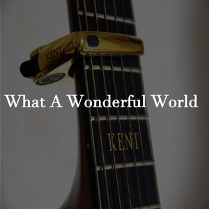 What A Wonderful World (Cover)