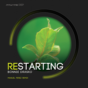 Restarting (Manuel Perez Remix)