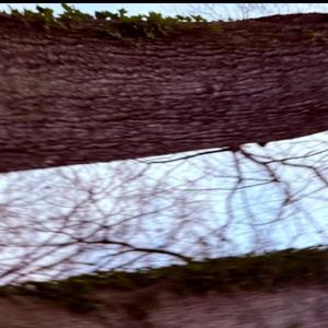 What is gun culture?