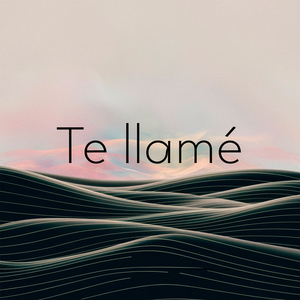 Te llamé