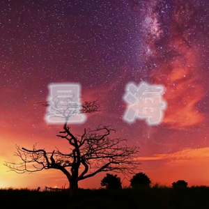 星海