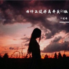为什么这样离开我