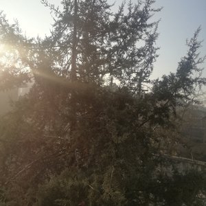 Bırakman Doğru Mu (Piano)