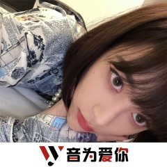 车载慢摇旋律 (DJ版)