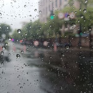 主场玩家（Main Player）