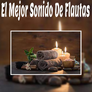 Equilibrio Entre la Mente y el Cuerpo