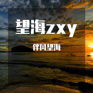望海zxy