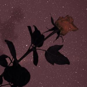 在夜里跳舞（翻自 徐一泽）