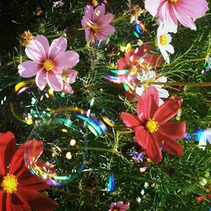 [Free] “秋意” Juice WRLD X POP Type Beat