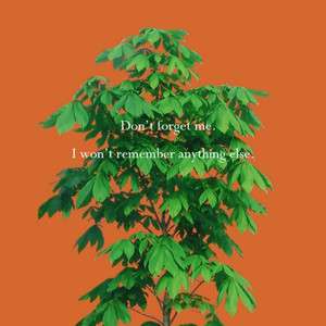 Among the stars(Instrumental)