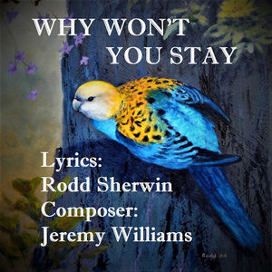 Why Won't You Stay