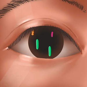 hello em có khỏe không