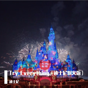 Shakira-try everything（WILSONPIG remix）