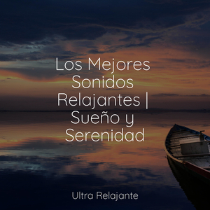 Meditación Consciente