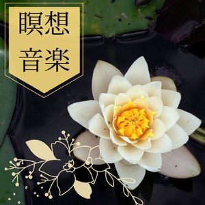 虹色に輝く水面