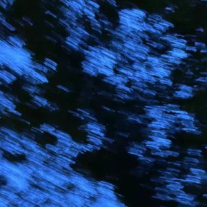 【FREE】Beat-"Dizzy"
