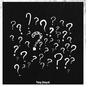 istediğin neydi ki ?