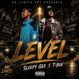 Level