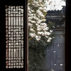 差点以为是永远 (0.9x)