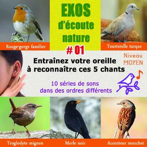 Exos d'écoute vol. 1 - Série G (Retrouvez les noms des 5 oiseaux : accenteur - merle - rougegorge - tourterelle - troglodyte)