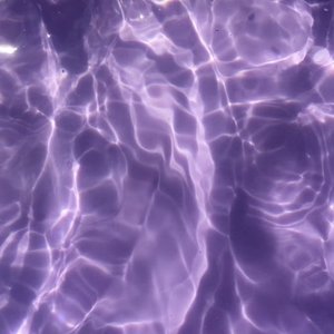 The Light I’ve Chased (1)