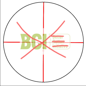 THE BCI no “E”