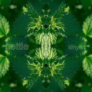 Nettle