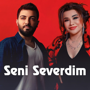 Seni Severdim